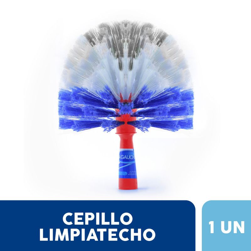 Limpiatecho-La-Gauchita-1-3494
