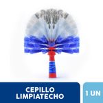 Limpiatecho-La-Gauchita-1-3494