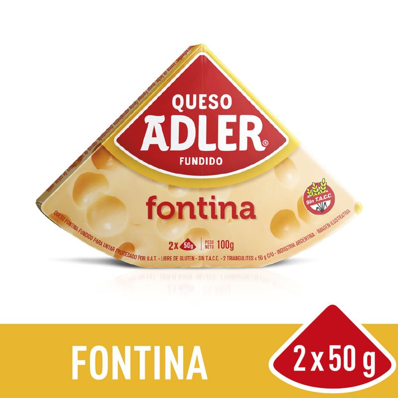 Queso-Fundido-Fontina-Adler-100gr-1-9023