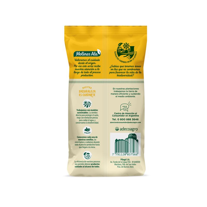 Arroz-Molinos-Ala-Dorado-1-Kg-2-14509