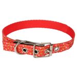 Collar-Arco-Iris-Mediano-1-23671