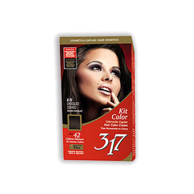 Chocolate-Dorado-6-73-Kit-Color-317-X-1-U-1-477380