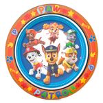 Plato-Playo-Paw-Patrol-1-471470