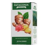 Te-Patagonia-Jengibre-20sob-1-30794