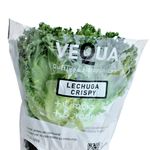 Lechuga-Crispy-Hidrop-nica-X-1-Un-2-14390