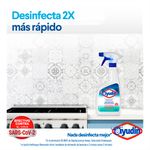 Desinfectante-Multisuperficies-Ayudin-Gatillo-500-Ml-3-1173