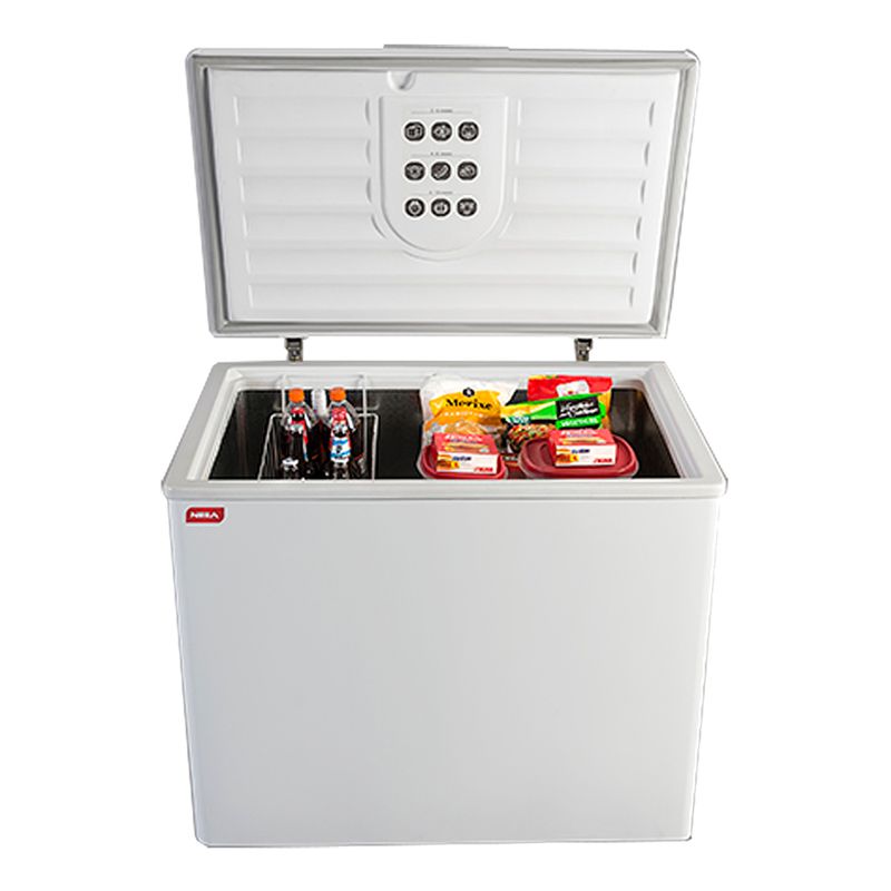 Freezer-Neba-305-Lt-Modelo-F310-2-17033