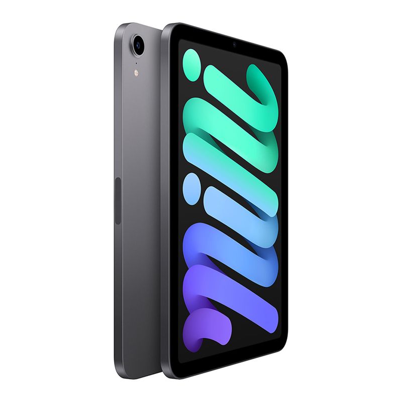 Ipad-Mini-Wi-Fi-64gb-6ta-Gen-Space-Grey-3-33219