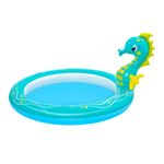 Pileta-Caballo-De-Mar-2-34428