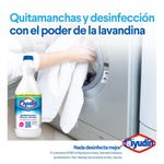 Quitamanchas-Ayud-n-Blancos-Intensos-Floral-1-L-2-1167