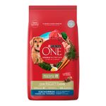 Alimento-Para-Perro-Purina-One-Cachorro-2kg-2-34920