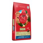Alimento-Para-Perro-Purina-One-Cachorro-2kg-4-34920