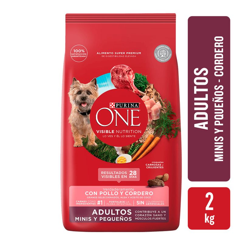 Alimento-Para-Perro-Purina-One-Adulto-Mini-Cordero-2kg-1-34921