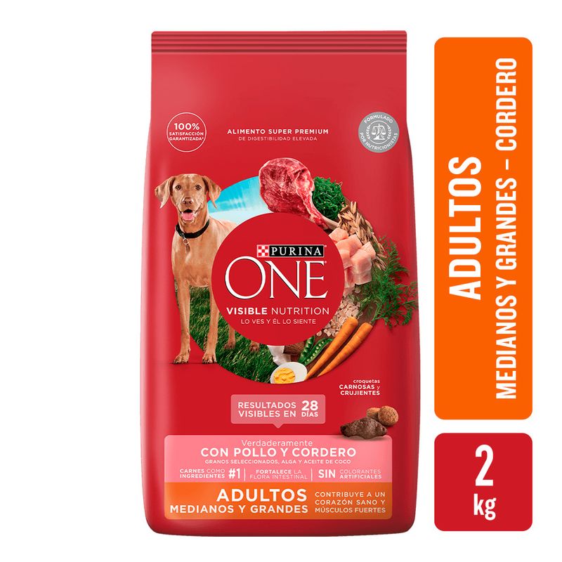 Alimento-Para-Perro-Purina-One-Adulto-Grande-Cordero-2kg-1-34923