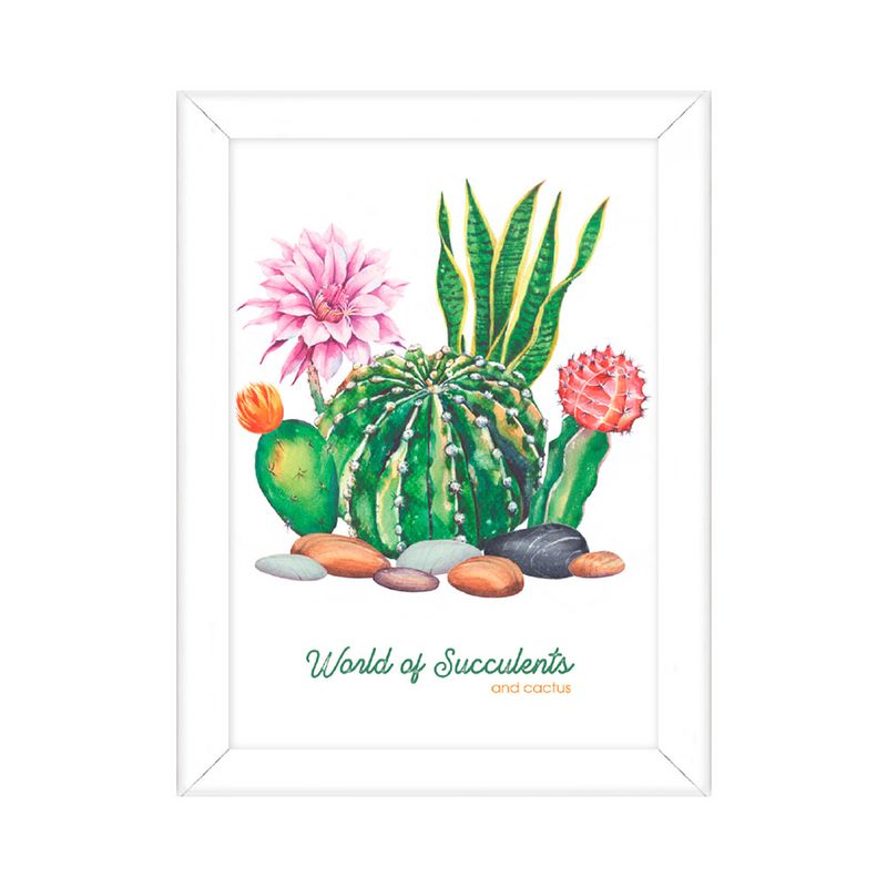 Cuadro-Suculentas-O-Cactus-13x18cm-2-35176