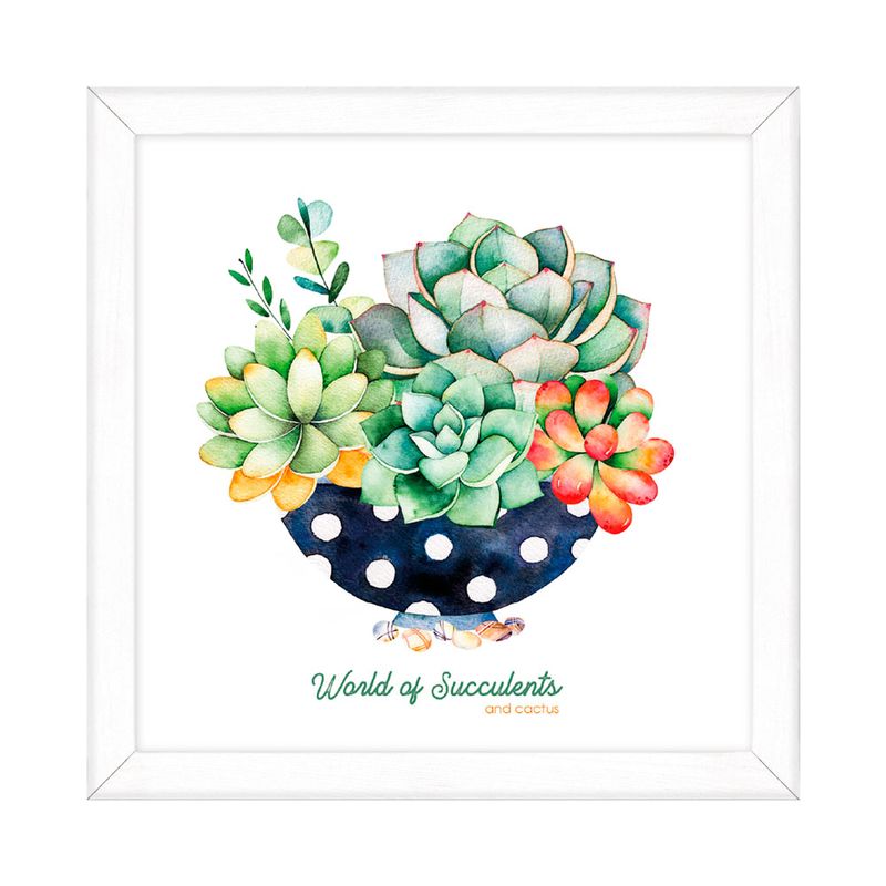 Cuadro-Suculentas-O-Cactus-20x20cm-2-35177