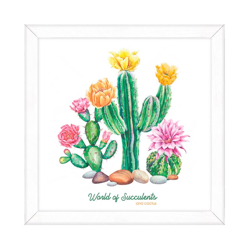 Cuadro-Suculentas-O-Cactus-20x20cm-3-35177