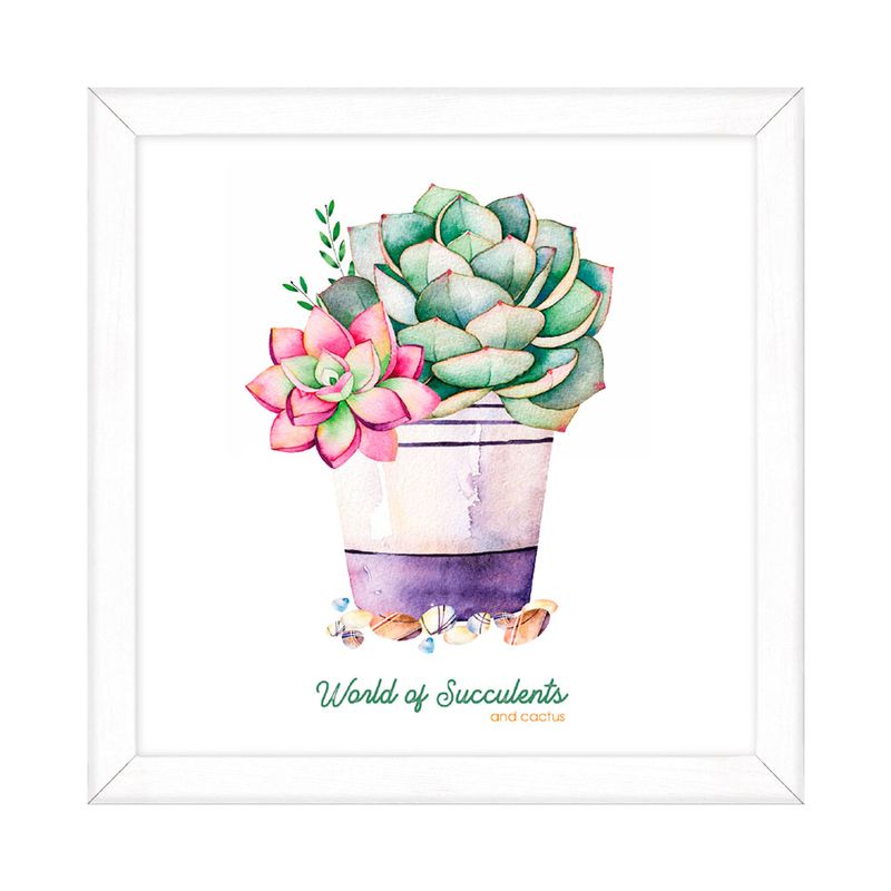 Cuadro-Suculentas-O-Cactus-20x20cm-1-35177