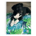 Cuaderno-Rayado-Mis-Apuntes-80-Hojas-10-24831