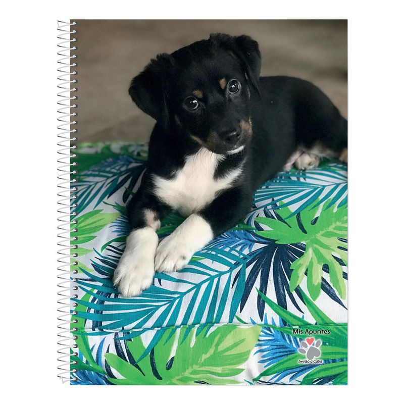 Cuaderno-Rayado-Mis-Apuntes-80-Hojas-10-24831