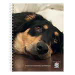 Cuaderno-Rayado-Mis-Apuntes-80-Hojas-11-24831