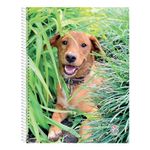 Cuaderno-Rayado-Mis-Apuntes-80-Hojas-12-24831