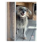 Cuaderno-Rayado-Mis-Apuntes-80-Hojas-2-24831