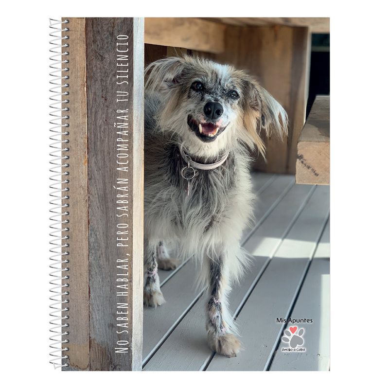 Cuaderno-Rayado-Mis-Apuntes-80-Hojas-2-24831