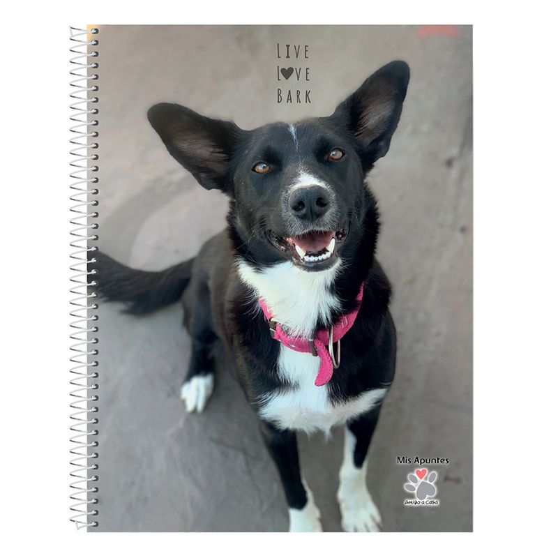 Cuaderno-Rayado-Mis-Apuntes-80-Hojas-4-24831