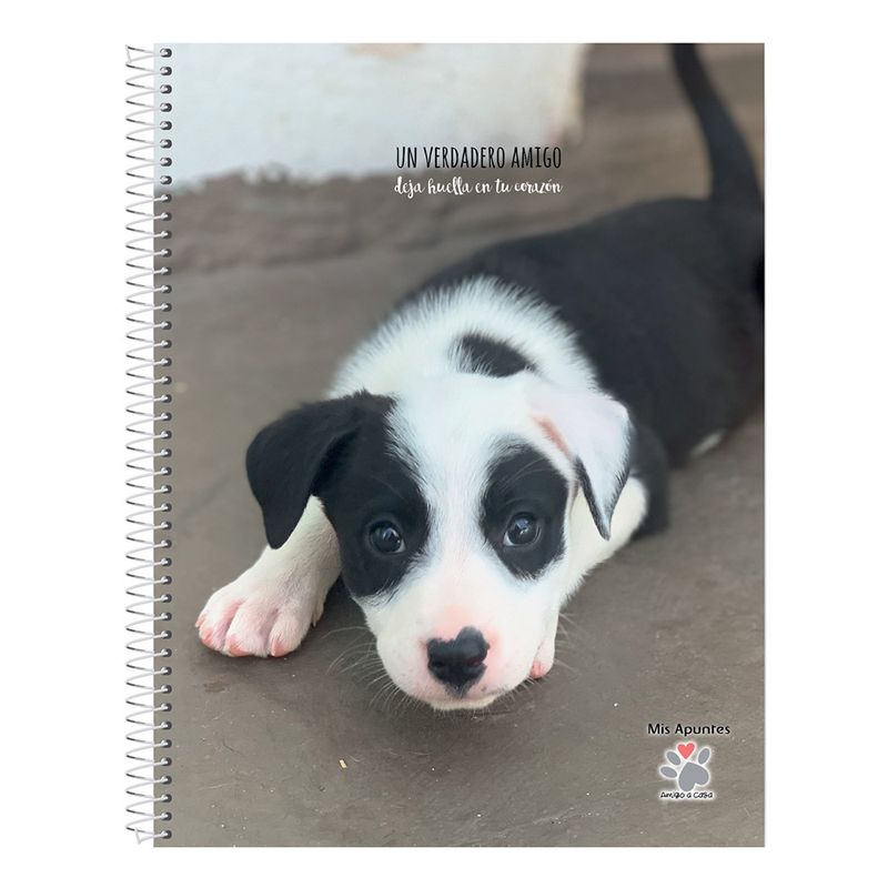 Cuaderno-Rayado-Mis-Apuntes-80-Hojas-5-24831