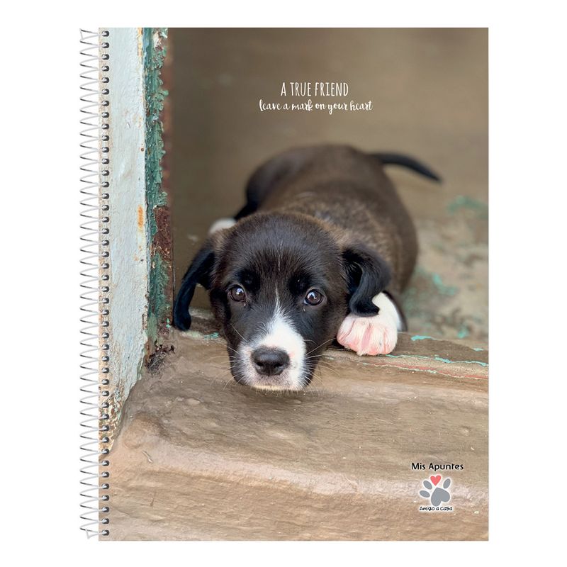 Cuaderno-Rayado-Mis-Apuntes-80-Hojas-6-24831