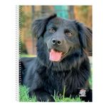 Cuaderno-Rayado-Mis-Apuntes-80-Hojas-8-24831