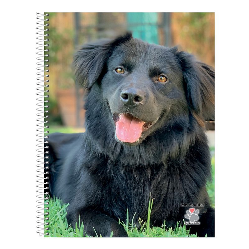 Cuaderno-Rayado-Mis-Apuntes-80-Hojas-8-24831