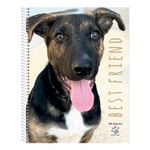 Cuaderno-Rayado-Mis-Apuntes-80-Hojas-9-24831