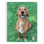 Cuaderno-Rayado-Mis-Apuntes-80-Hojas-1-24831
