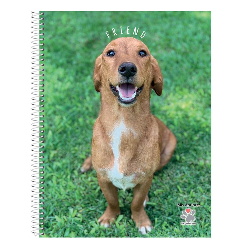 Cuaderno-Rayado-Mis-Apuntes-80-Hojas-1-24831
