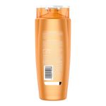 Shampoo-Elvive-leo-Extraordinario-Coco-750-Ml-3-9039