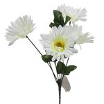 Flores-1-35274