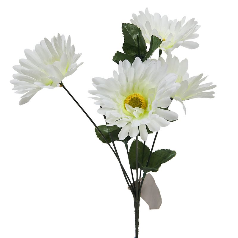 Flores-1-35274