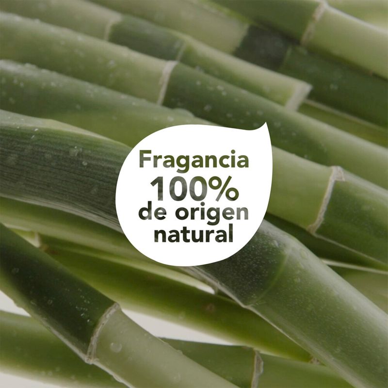 Shampoo-Dove-Real-Poder-De-Las-Plantas-Fuerza-Bamb-300ml-5-35993
