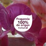 Acondicionador-Dove-Real-Poder-De-Las-Plantas-Nutrici-n-Geranio-300ml-7-35994