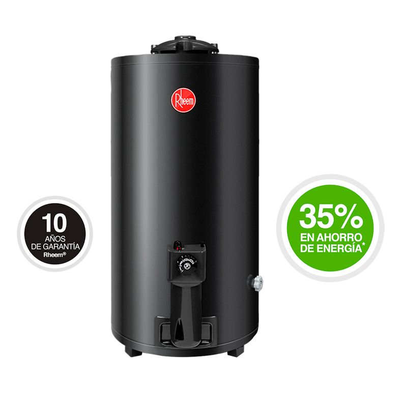 Termotanque-Rheem-80l-Gris-1-36549