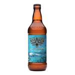 Cerveza-Antares-Playa-Grande-500ml-1-36788