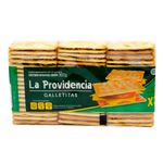 Galletitas-Crackers-La-Providencia-303g-1-36927