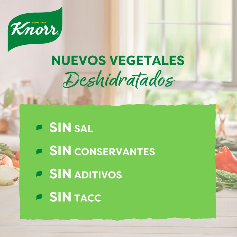 Cebolla-Deshidratada-Knorr-100g-4-32606