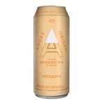 Cerveza-Andes-Origen-Fresquita-473ml-2-38084