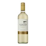 Vino-Tinto-Blend-Ventus-750ml-1-37989