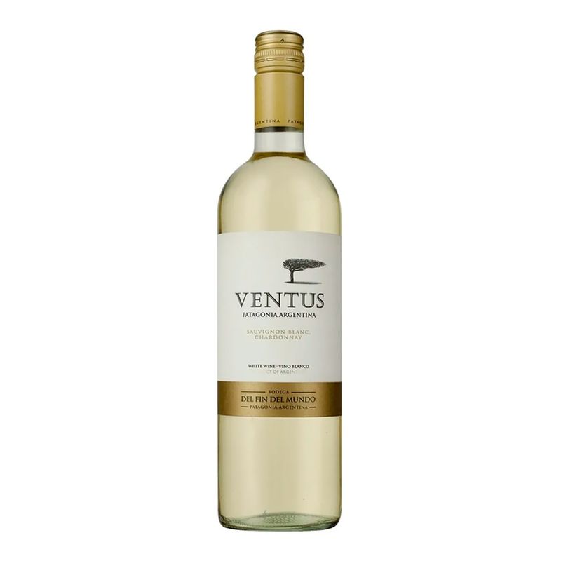 Vino-Tinto-Blend-Ventus-750ml-1-37989
