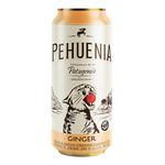 Sidra-Pehuenia-Extracto-Vegetal-Jengibre-473ml-2-38644