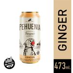 Sidra-Pehuenia-Extracto-Vegetal-Jengibre-473ml-1-38644